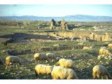 Philadelphia - view of the general area of ruins