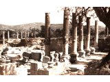 The remains of the colonnaded hall in the palace of Herod the Great, on the hilltop of Samaria. As a compliment to Caesar Augustus he changed the name of his city Samaria to Sebaste, from the Greek word for Augustus.