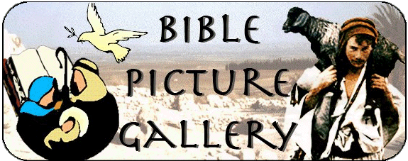 Bible Picture Gallary