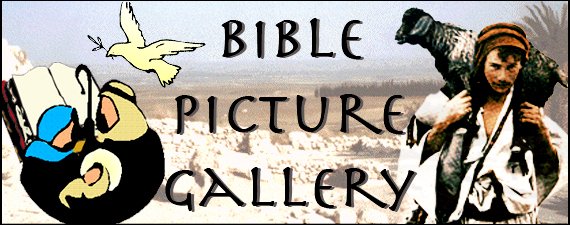 Bible Picture Gallery