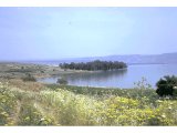 The Sea of Galilee from Capernaum