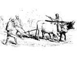 Ploughing